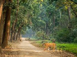Best Tourist places in uttarakhand