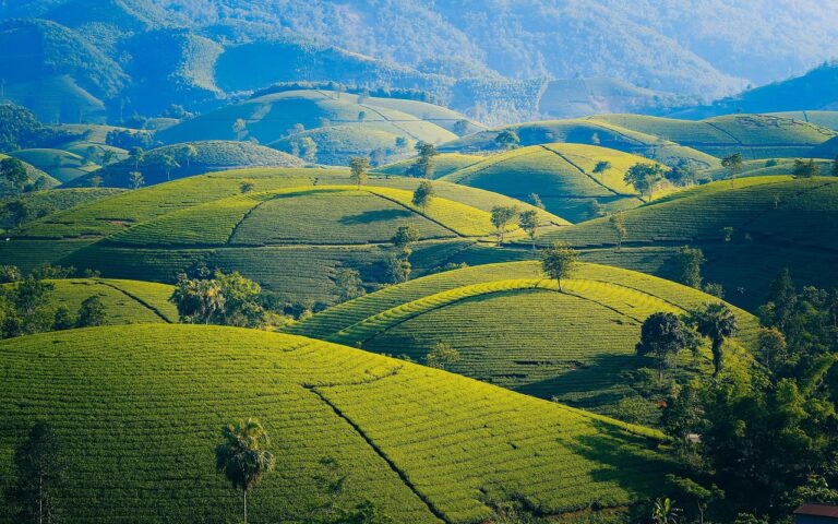mountains-and-hills-5112952_1280