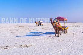 Best tourist places in Gujrat